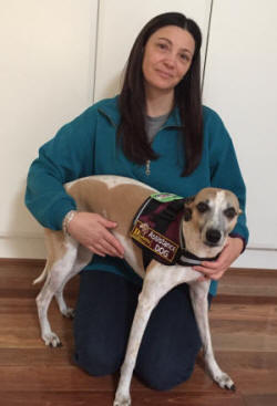 disability aid dog with owner